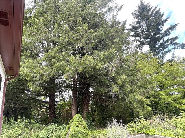 1309 Times Ave, Bremerton, WA 98312 - photo 11