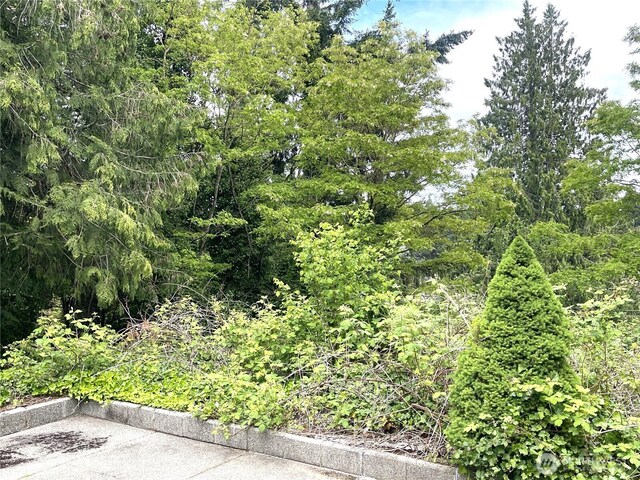 1309 Times Ave, Bremerton, WA 98312 - photo 12
