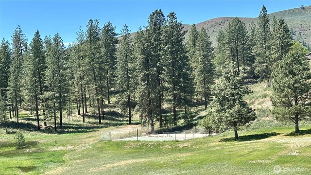 169 Twin Lakes Dr, Winthrop, WA 98862 - view of yard with a mountain view
