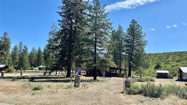 169 Twin Lakes Dr, Winthrop, WA 98862 - view of dirt / gravel road