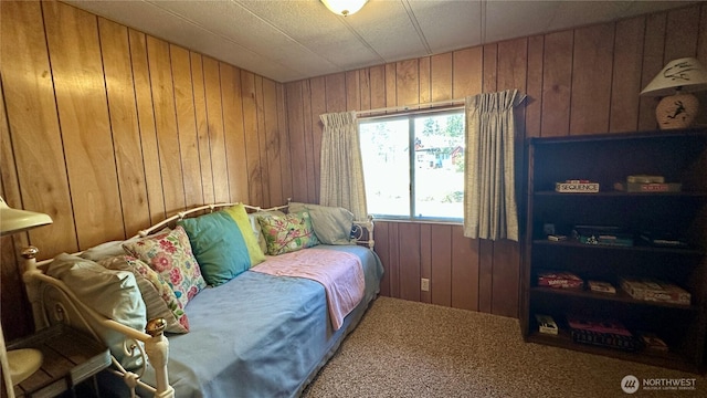 169 Twin Lakes Dr, Winthrop, WA 98862 - living area featuring wood walls and carpet