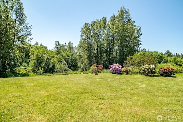 28705 48th Ave NW, Stanwood, WA 98292 - view of grassy yard