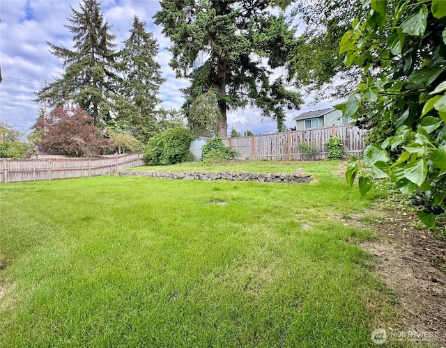 8312 121st St SW, Lakewood, WA 98498 - view of yard