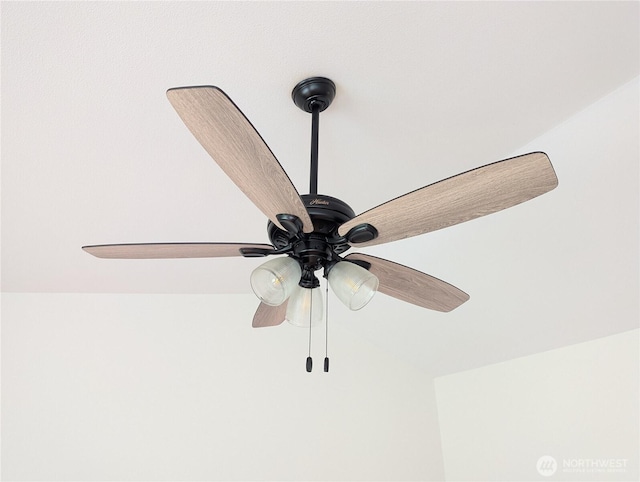 9441 180th Way SW, Rochester, WA 98579 - detailed view of ceiling fan