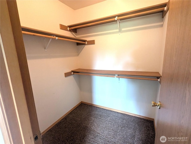 9441 180th Way SW, Rochester, WA 98579 - spacious closet featuring carpet flooring