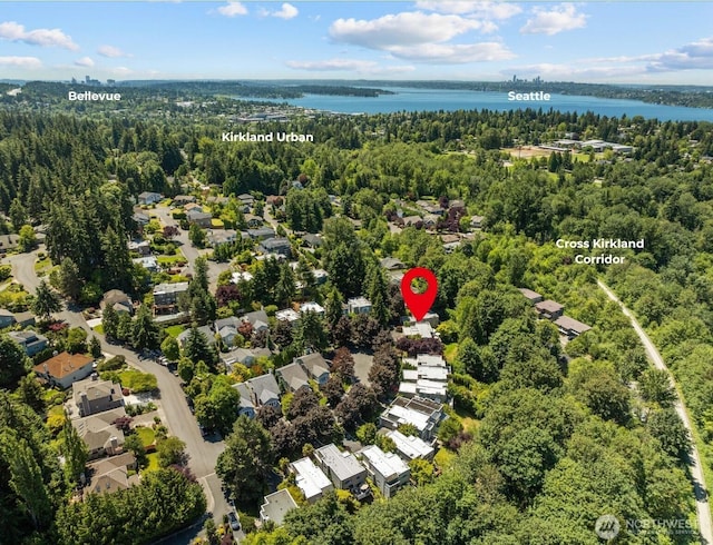 11120 NE 106th Pl, Kirkland, WA 98033 - aerial overview of property's location with nearby suburban area