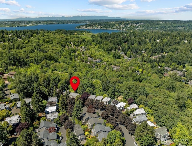 11120 NE 106th Pl, Kirkland, WA 98033 - aerial perspective of suburban area featuring a heavily wooded area and a large body of water