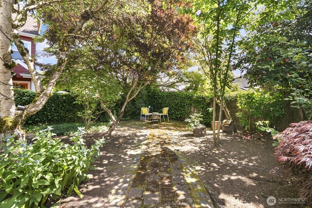 view of yard featuring a patio and fence