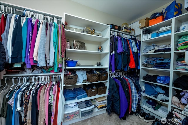 1109 Walker St, Port Angeles, WA 98363 - spacious closet with carpet floors