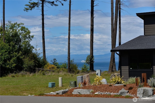 1109 Walker St, Port Angeles, WA 98363 - view of yard featuring a mountain view