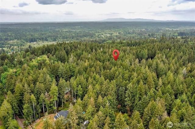 2993 SE Shapley Hill Way, Olalla, WA 98359