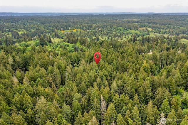 2993 SE Shapley Hill Way, Olalla, WA 98359