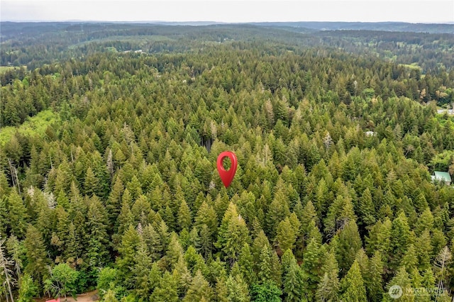 2993 SE Shapley Hill Way, Olalla, WA 98359