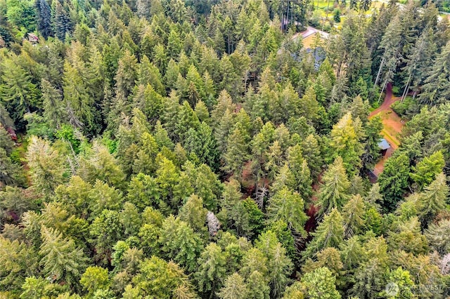 2993 SE Shapley Hill Way, Olalla, WA 98359