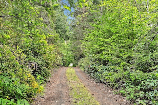 2993 SE Shapley Hill Way, Olalla, WA 98359