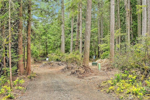 2993 SE Shapley Hill Way, Olalla, WA 98359