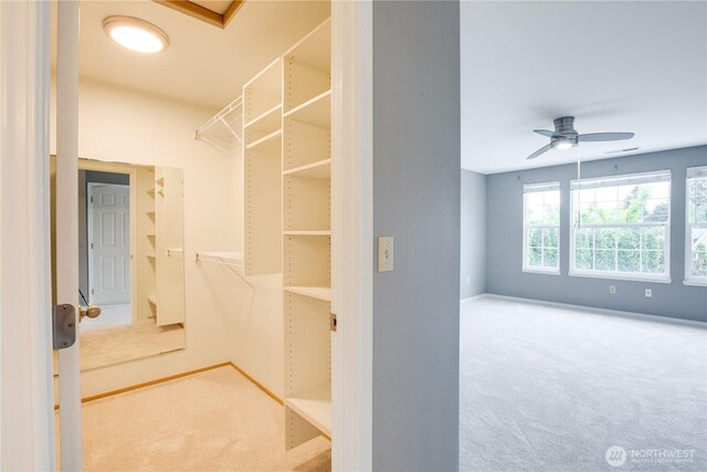 16016 NE 41st St, Vancouver, WA 98628 - walk in closet featuring carpet floors and ceiling fan