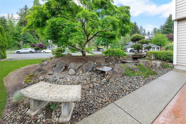 16912 49th St E, Lake Tapps, WA 98391 - view of yard