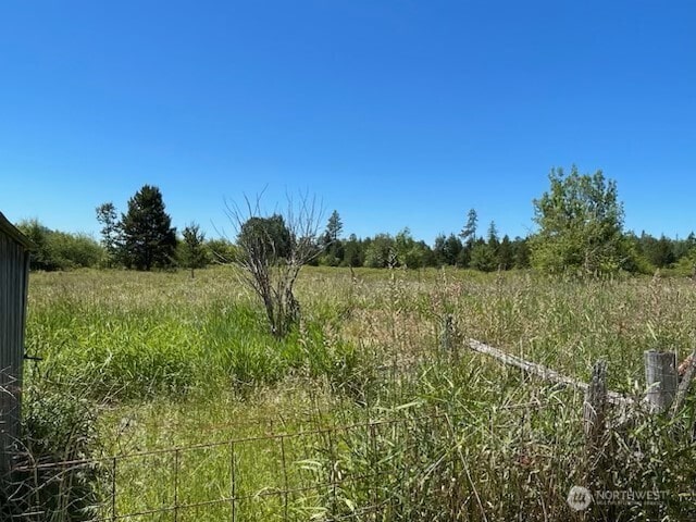 320 Pine Tree Rd, Toledo, WA 98591 - photo 6