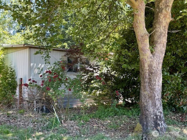 320 Pine Tree Rd, Toledo, WA 98591 - photo 8