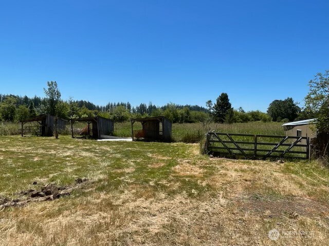 320 Pine Tree Rd, Toledo, WA 98591 - photo 14