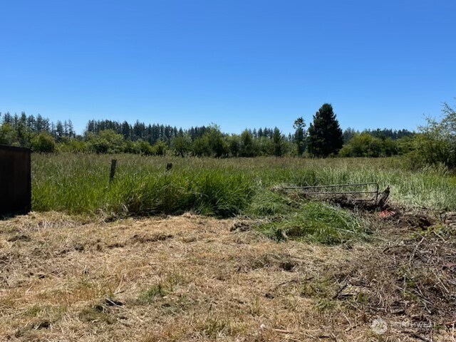 320 Pine Tree Rd, Toledo, WA 98591 - photo 15