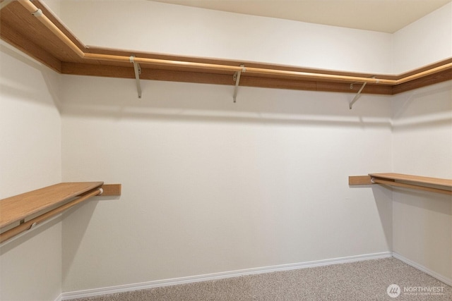2012 Creekside Ln, Anacortes, WA 98221 - walk in closet with carpet flooring