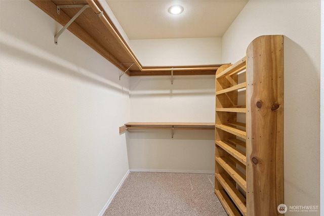 2012 Creekside Ln, Anacortes, WA 98221 - walk in closet featuring carpet flooring