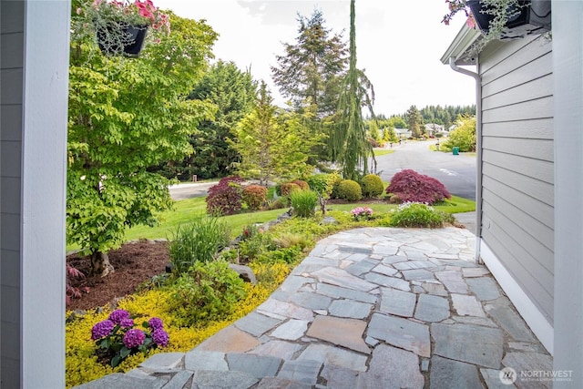 11513 128th Dr NE, Lake Stevens, WA 98258 - photo 2