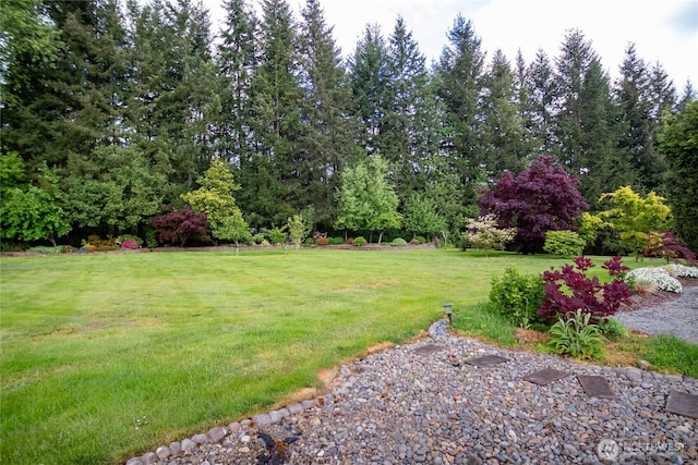 11513 128th Dr NE, Lake Stevens, WA 98258 - photo 26