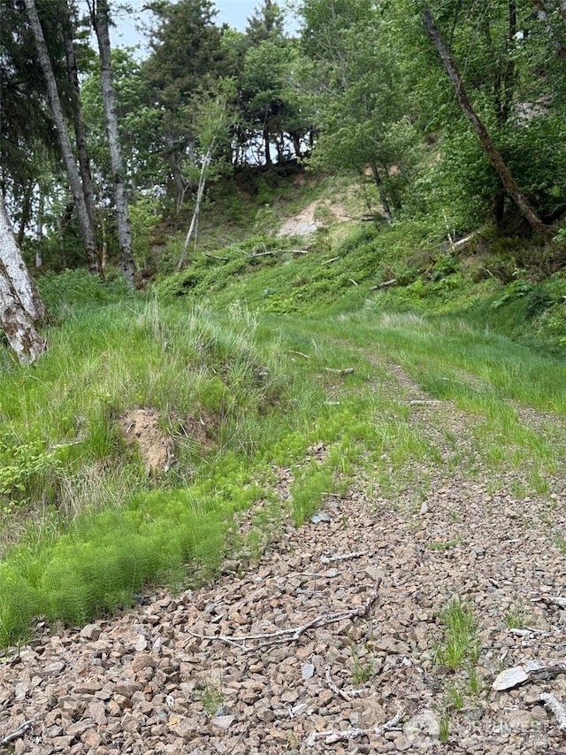 0 Altoona Pillar Rock Rd, Rosburg, WA 98643 - photo 3