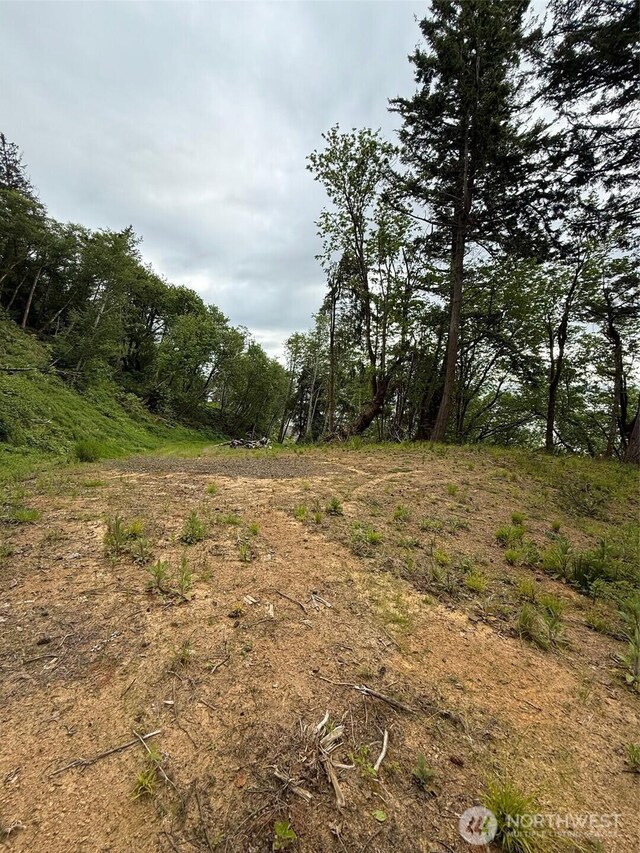 0 Altoona Pillar Rock Rd, Rosburg, WA 98643 - photo 4