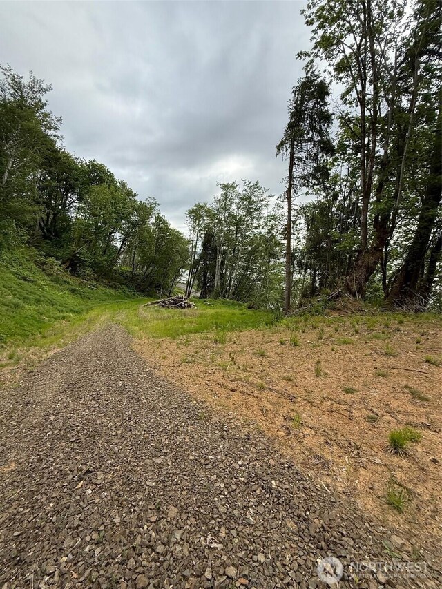 0 Altoona Pillar Rock Rd, Rosburg, WA 98643 - photo 5