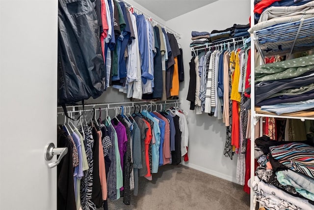 15017 46th Ave SE, Everett, WA 98208 - spacious closet featuring carpet