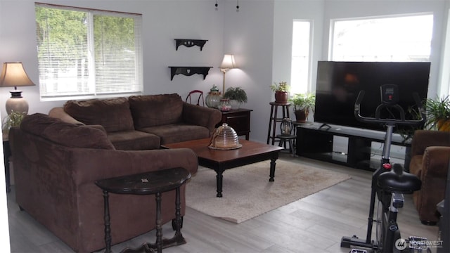 145 Collar Ave, Morton, WA 98356 - living room with wood finished floors