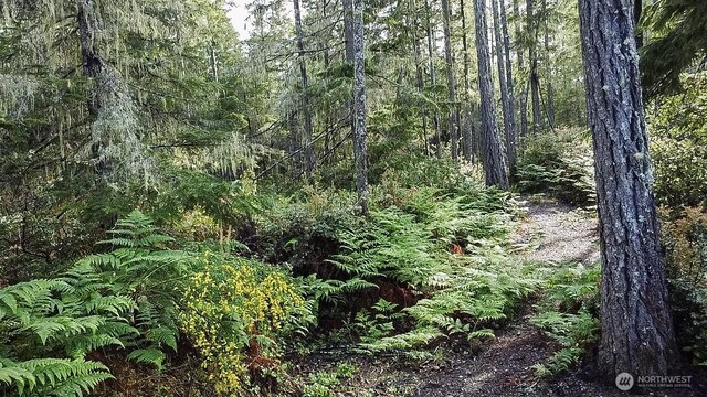 230 E Blackberry Ln, Union, WA 98592