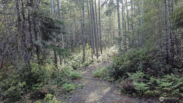 230 E Blackberry Ln, Union, WA 98592
