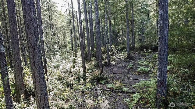 230 E Blackberry Ln, Union, WA 98592