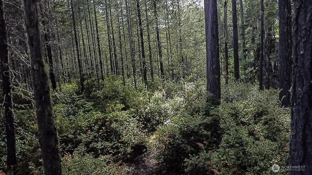 230 E Blackberry Ln, Union, WA 98592