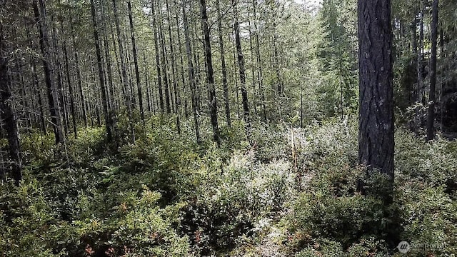 230 E Blackberry Ln, Union, WA 98592