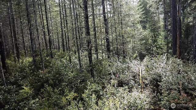 230 E Blackberry Ln, Union, WA 98592