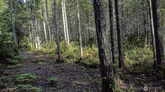 230 E Blackberry Ln, Union, WA 98592