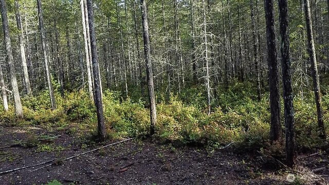 230 E Blackberry Ln, Union, WA 98592