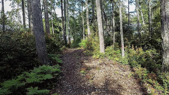 230 E Blackberry Ln, Union, WA 98592