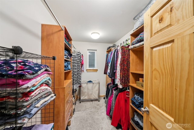 39800 224th Ave SE, Enumclaw, WA 98022 - walk in closet with light colored carpet
