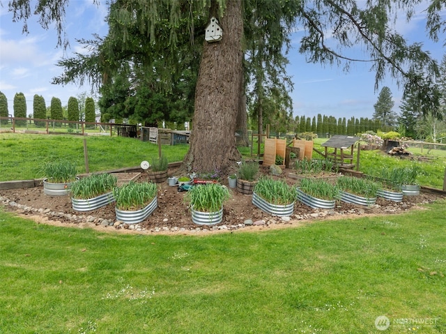39800 224th Ave SE, Enumclaw, WA 98022 - view of yard with a vegetable garden and a rural view