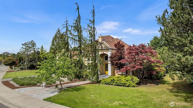 view of front of property with a front yard, stucco siding, and a chimney