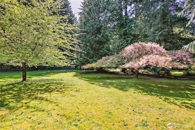 4000 NE Kedros Dr, Poulsbo, WA 98370 - photo 35