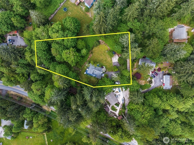 15715 249th Ave SE, Issaquah, WA 98027 - aerial overview of property's location featuring property boundaries highlighted