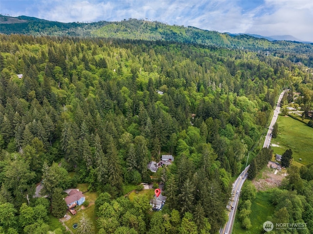 15715 249th Ave SE, Issaquah, WA 98027 - aerial view of property and surrounding area featuring a forest and mountains